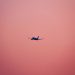 la sagoma di un aereo su sfondo rosa